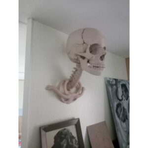 Decoração de crânio -suporte para parede de esqueleto humano